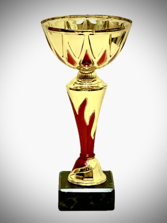 Coupe CP12