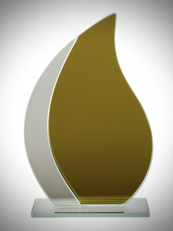 Trophée TV101