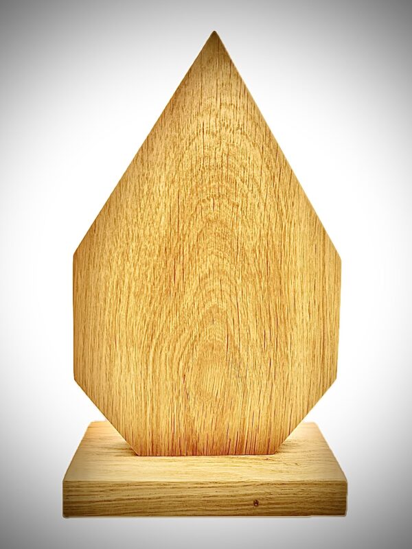 TB103 - Trophées Awards bois massif chêne